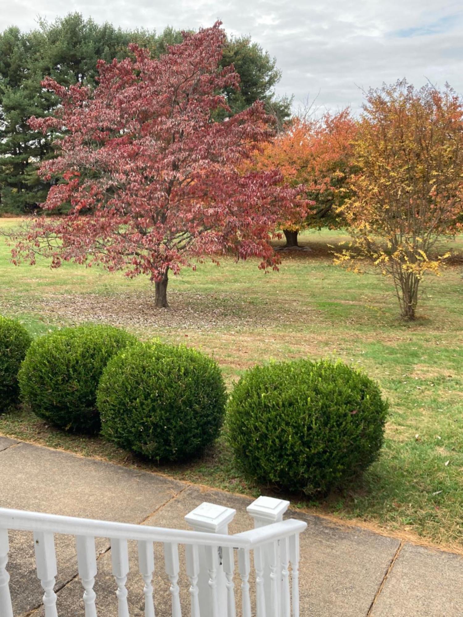 Purcellville Home エクステリア 写真