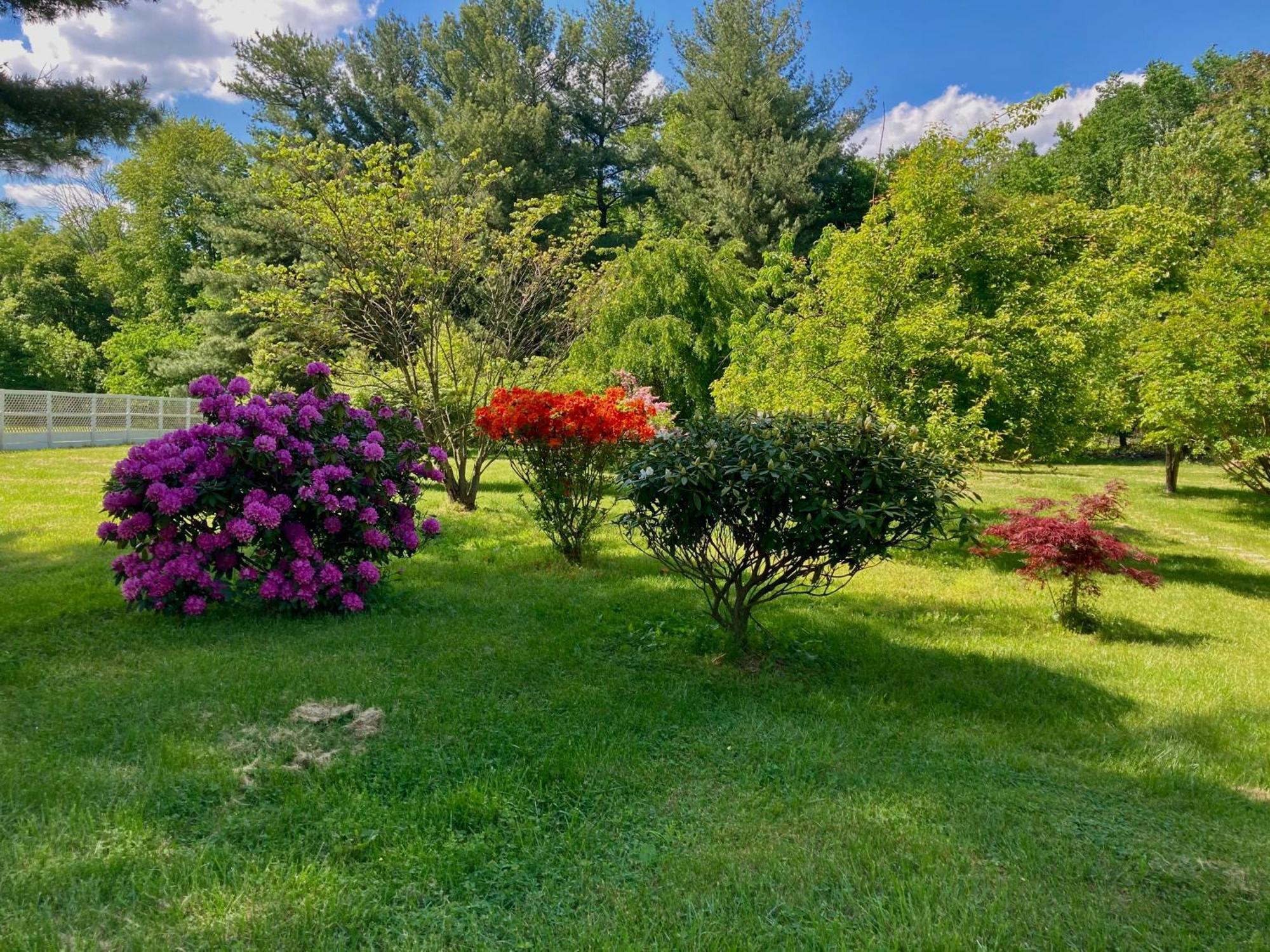 Purcellville Home エクステリア 写真