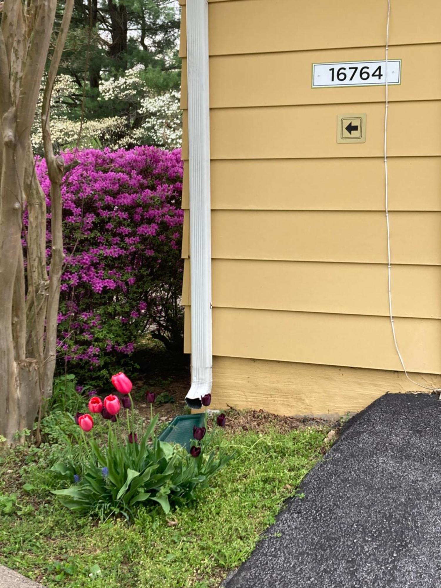 Purcellville Home エクステリア 写真